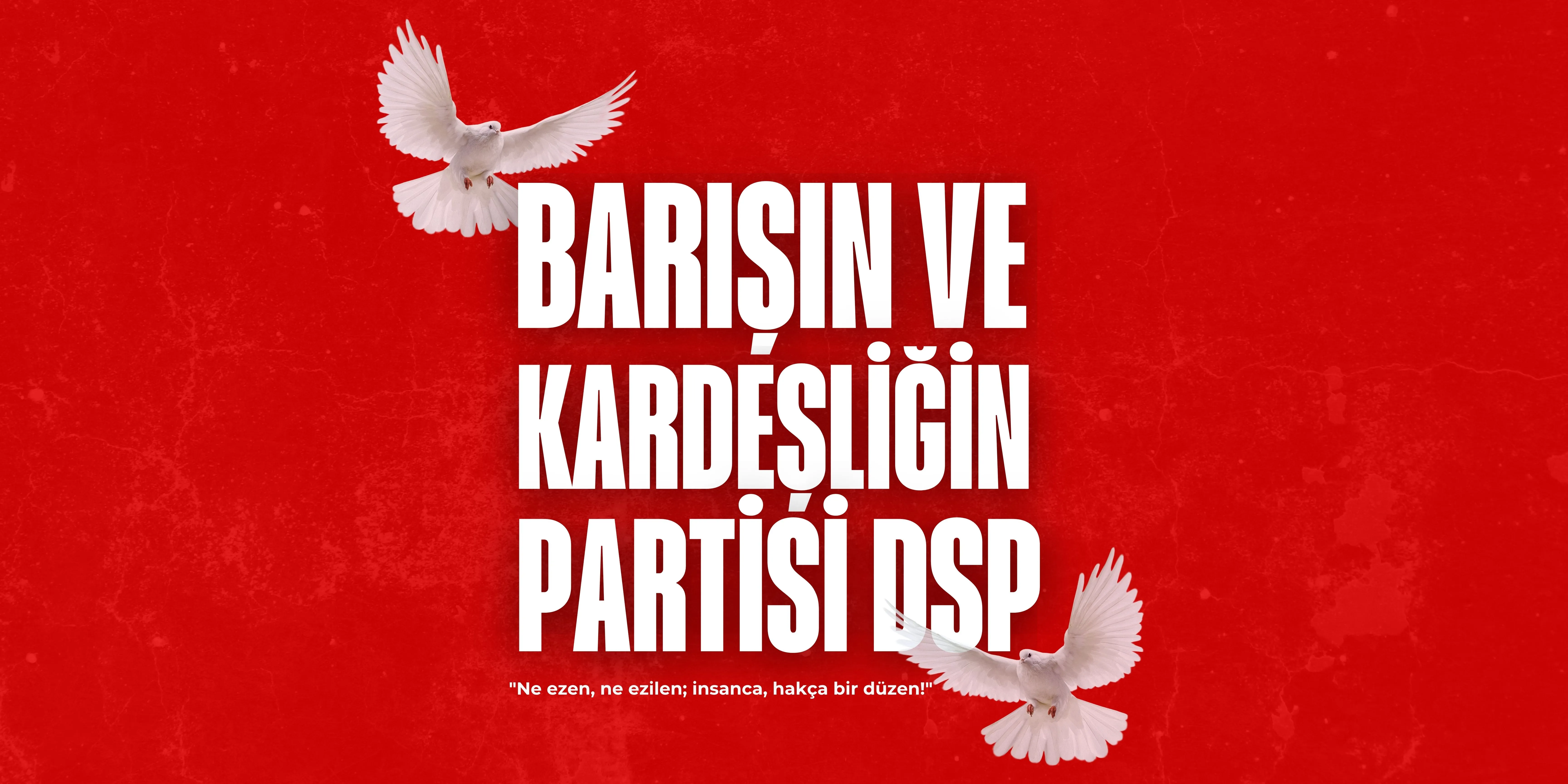 2369-1791738794.webp